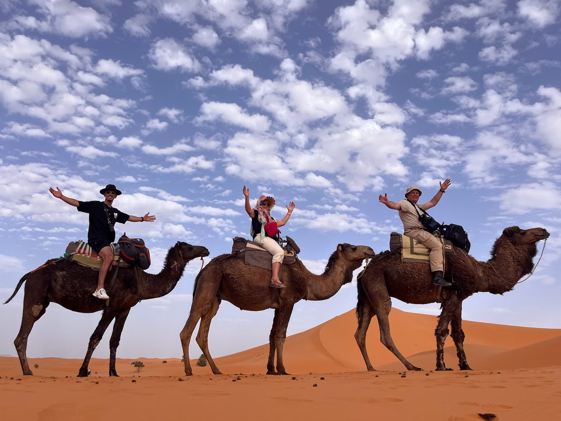 camel-safaris-rajasthan