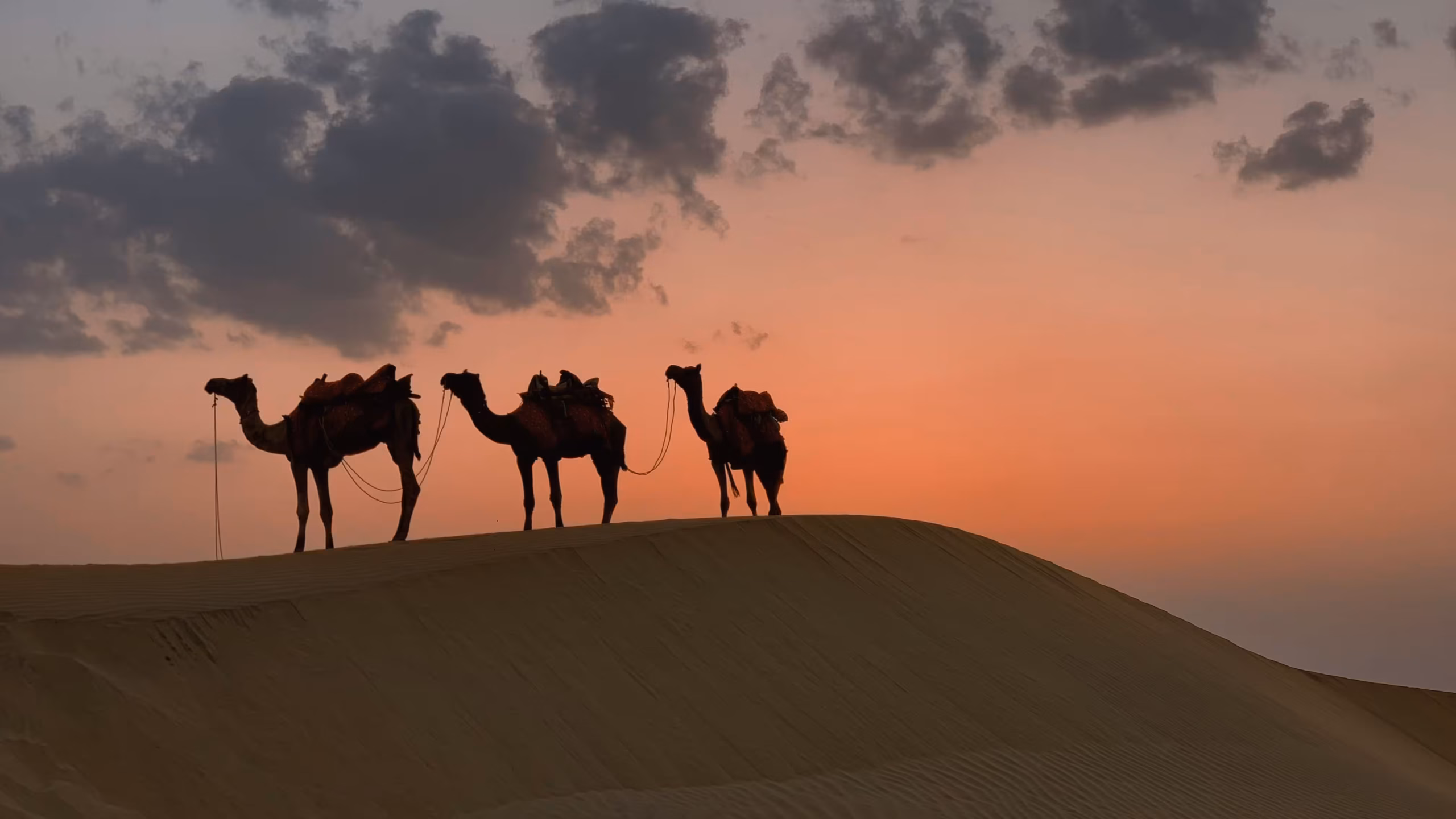rajasthan-dessert-view