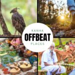 Kanha Offbeat