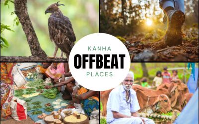5 Offbeat Things to Do in Kanha