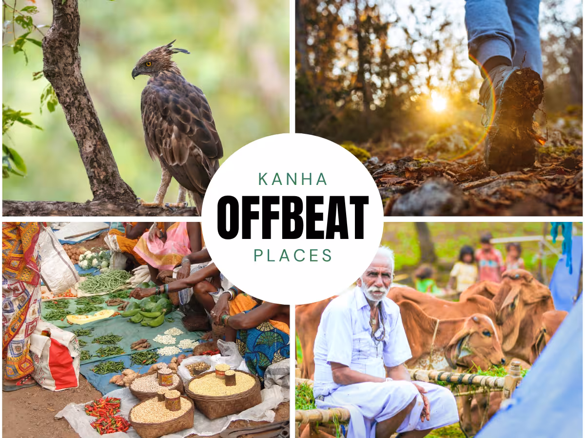 kanha-offbeat Kanha Offbeat
