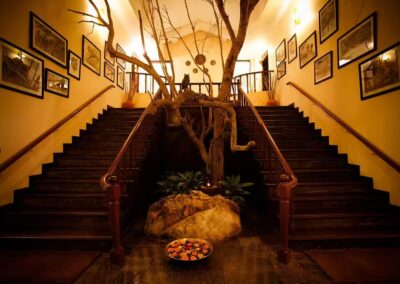 Singinawa Jungle Lodge Stair