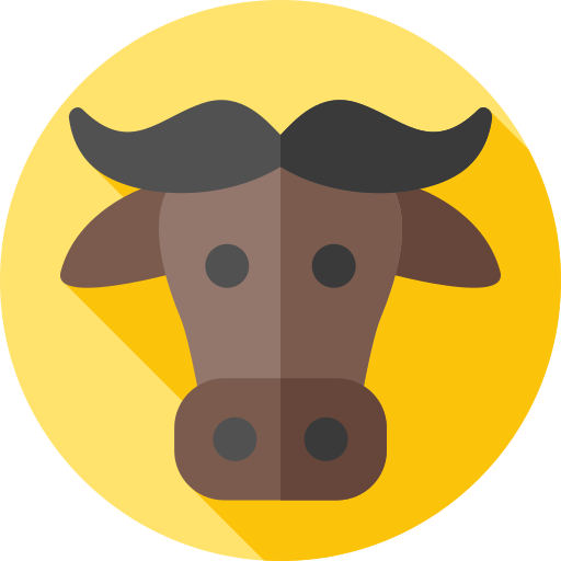 Buffalo Icon