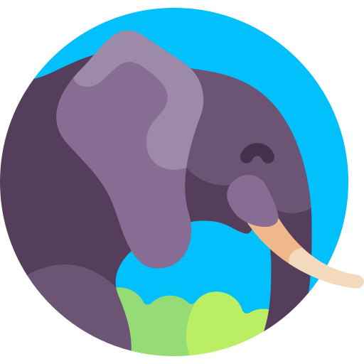 Elephant Icon