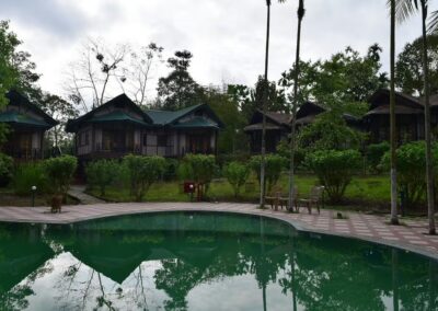 Infinity Kaziranga Wilderness Exterior