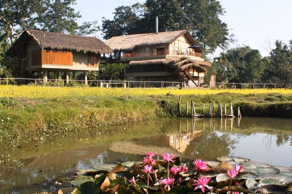 Diphlu River Lodge Lodge Exterior