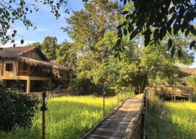 Diphlu River Lodge Cottage Pathway