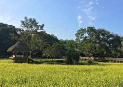 Diphlu River Lodge Grassland View