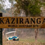 5 Offbeat Things to Do in Kaziranga National Park