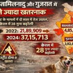 dog-bite-cases-india-pib-report-maharashtra-tamilnadu-kerala