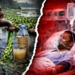 घटती ऑक्सीजन और बढ़ता जलकुंभी का जाल