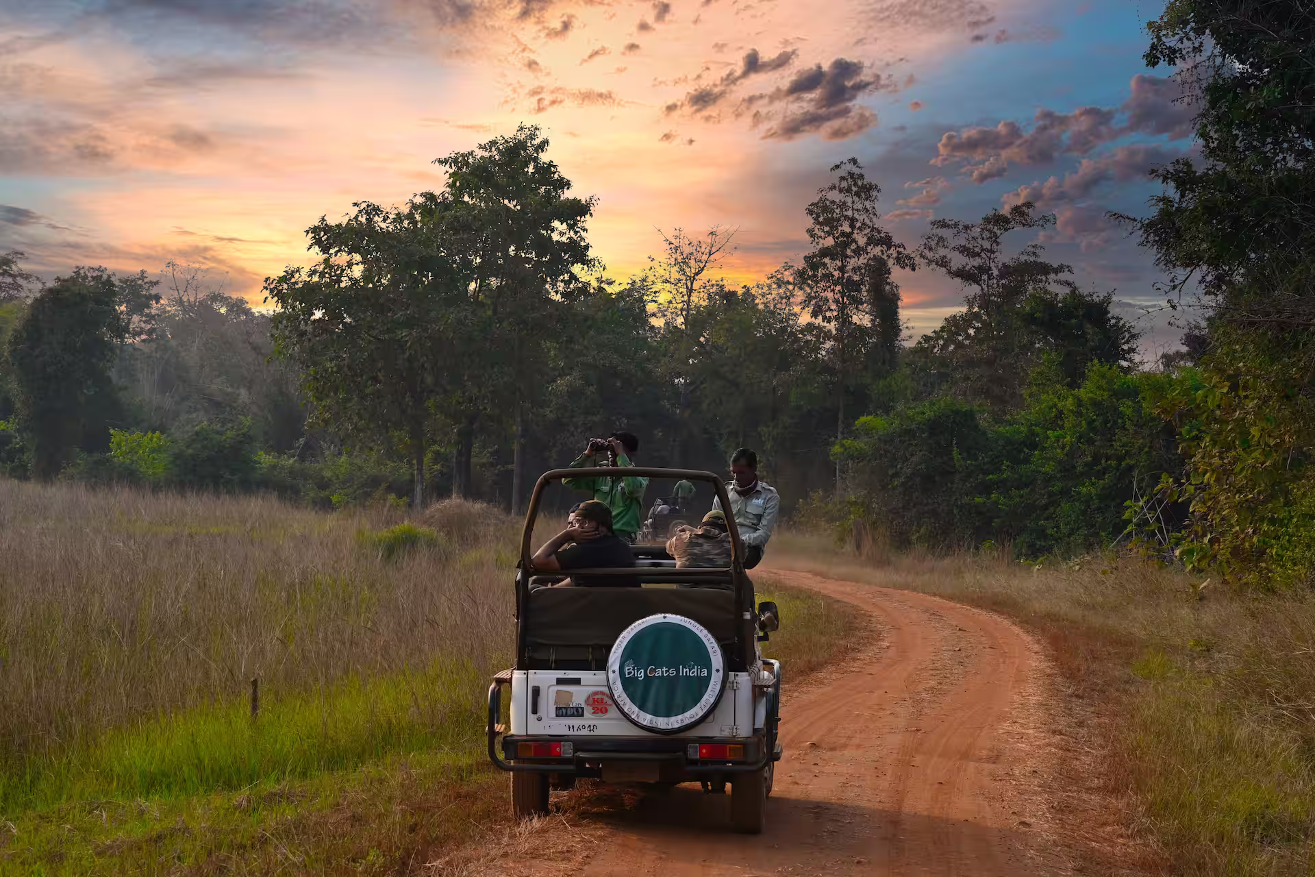 Jeep Safari in Panna
