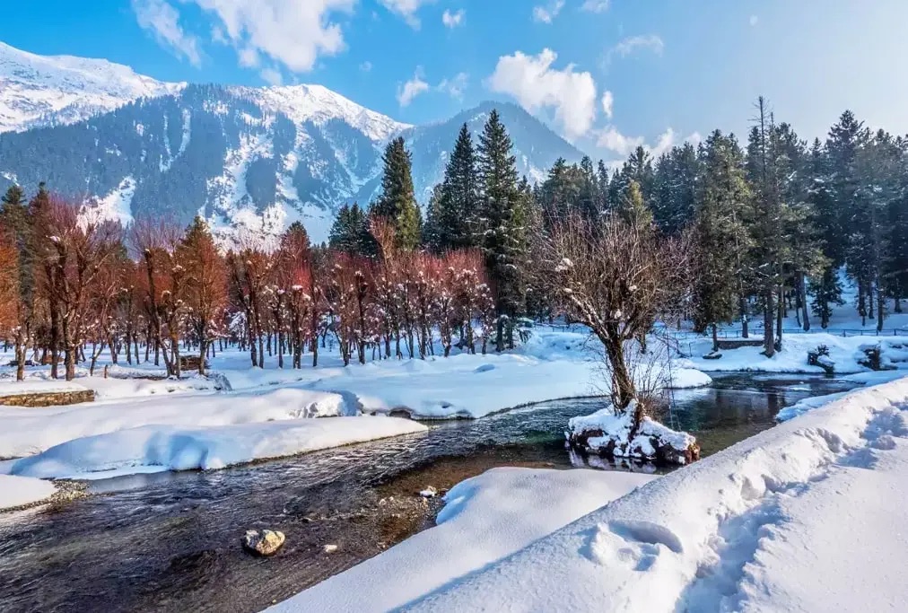 Day tour to Sonamarg