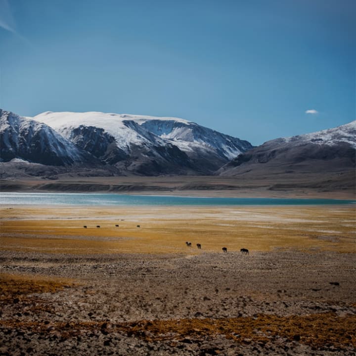 Nubra Valley: Diskit & Hunder
