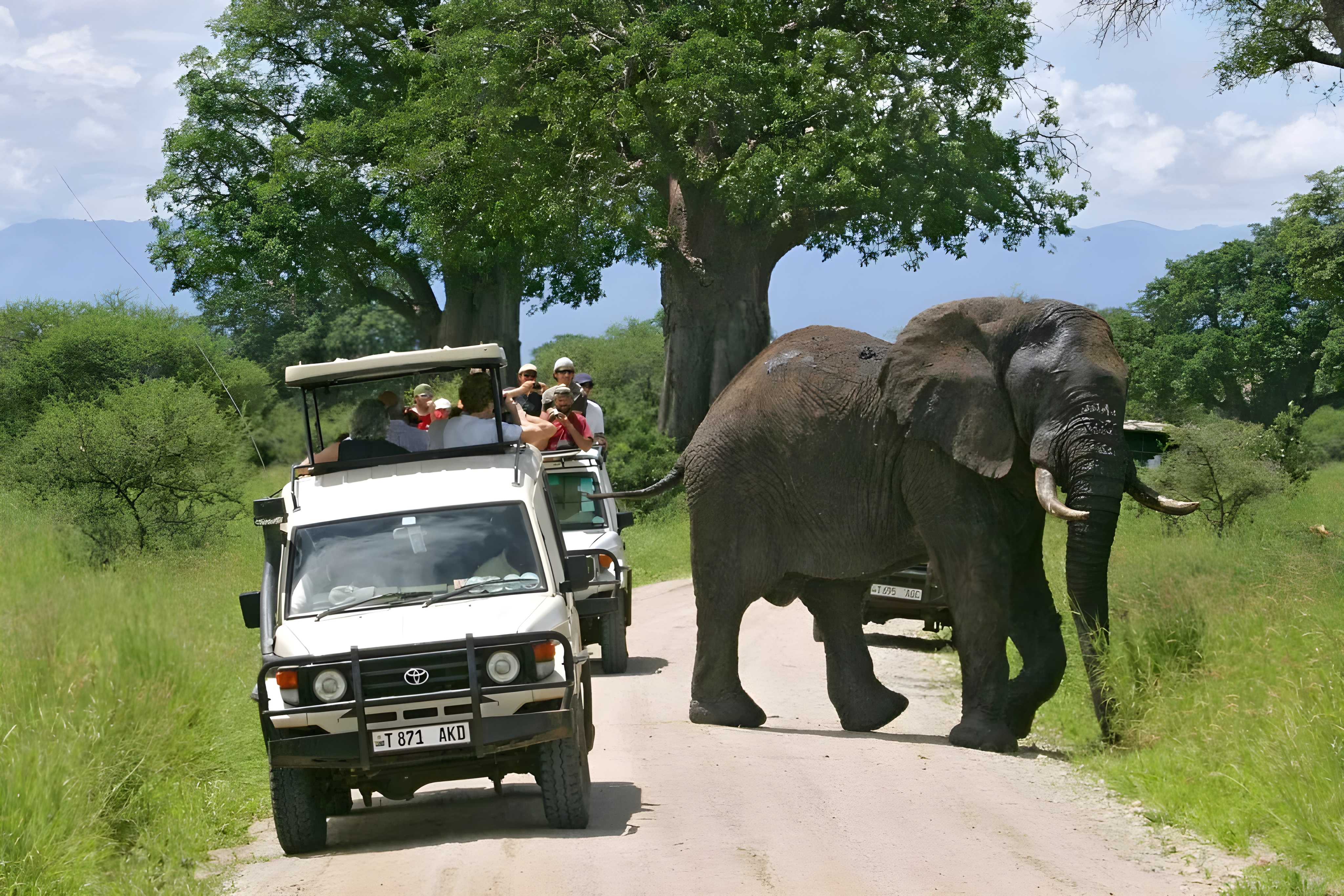 Arusha to Tarangire National Park | Full Day Game Drive
