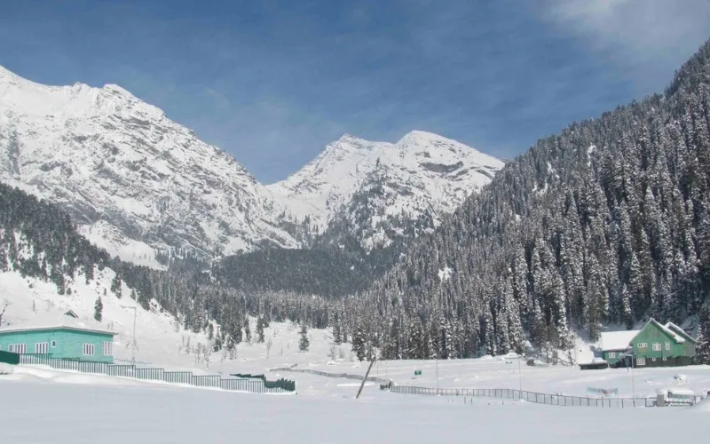 Srinagar to Sonmarg and Back to Srinagar