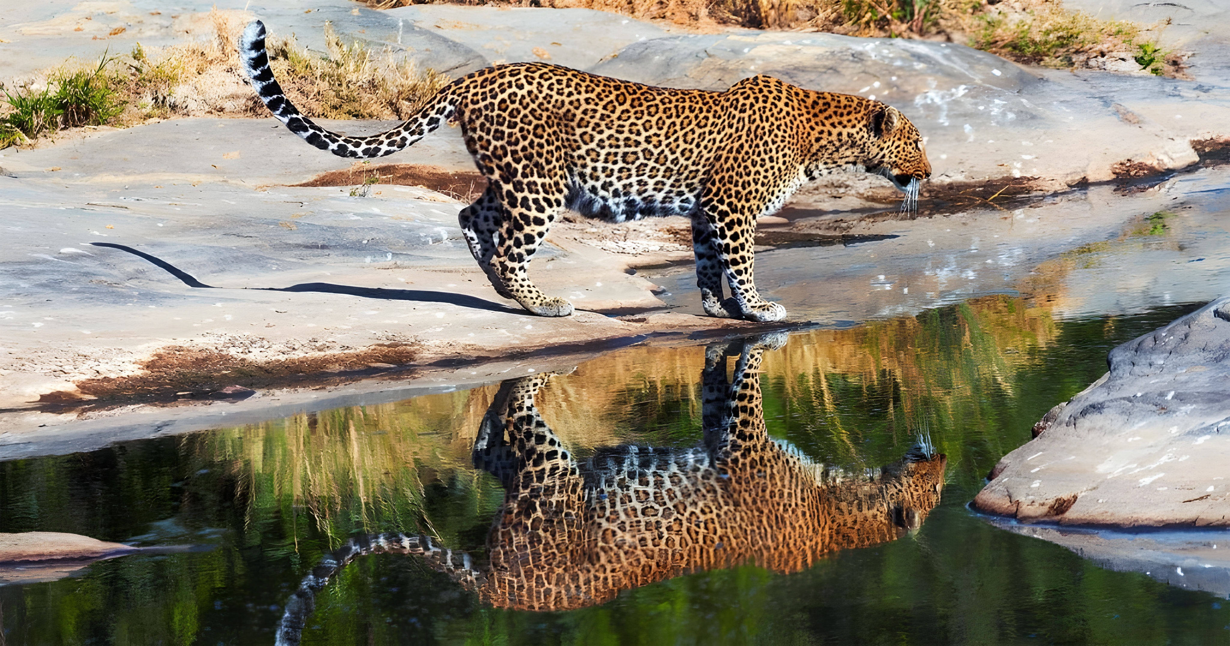 Sunrise Balloon Safari | Cultural Experience | Relaxing Evening