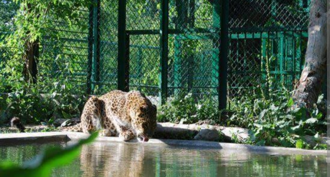 Dachigam Wildlife Sanctuary