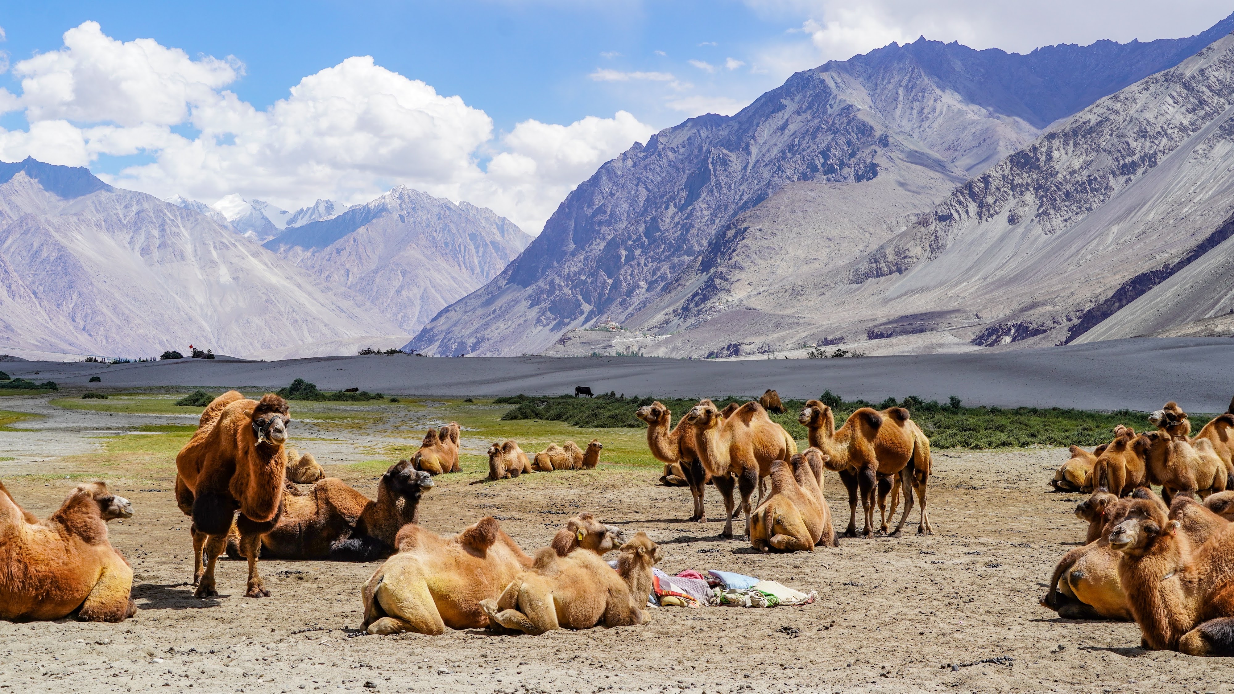 Nubra Valley
