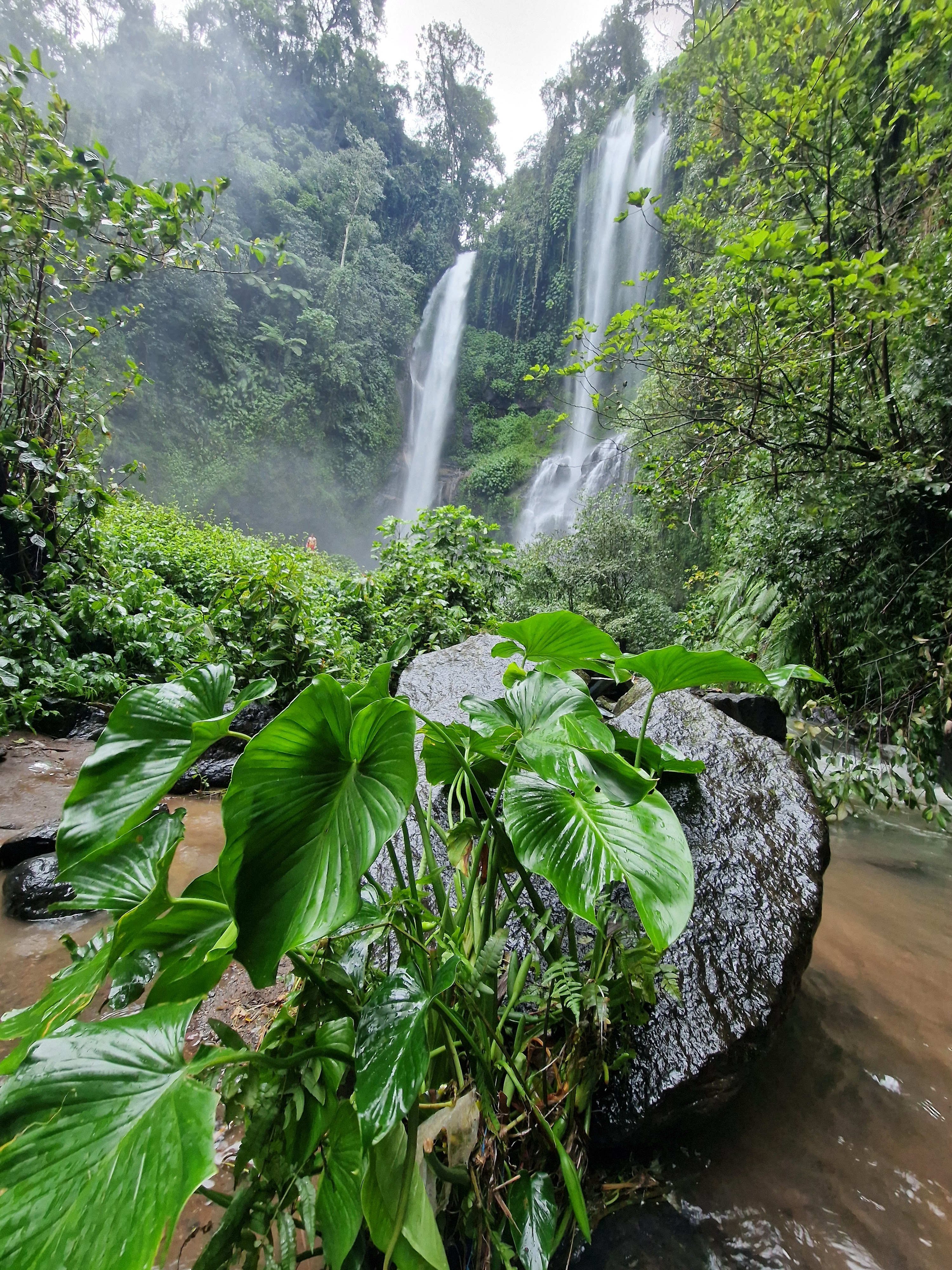 Sekumpul Waterfall