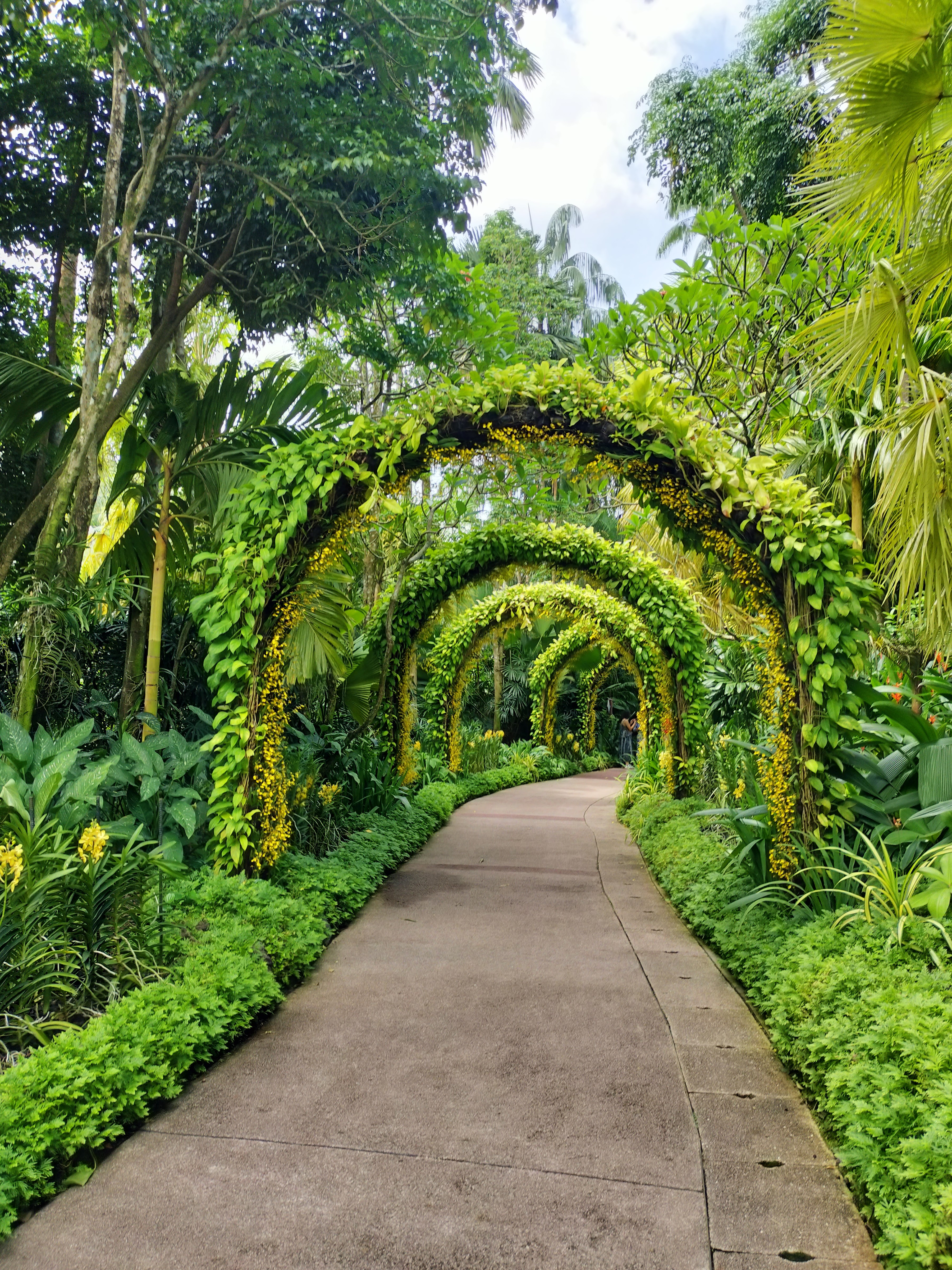 National Orchid Garden