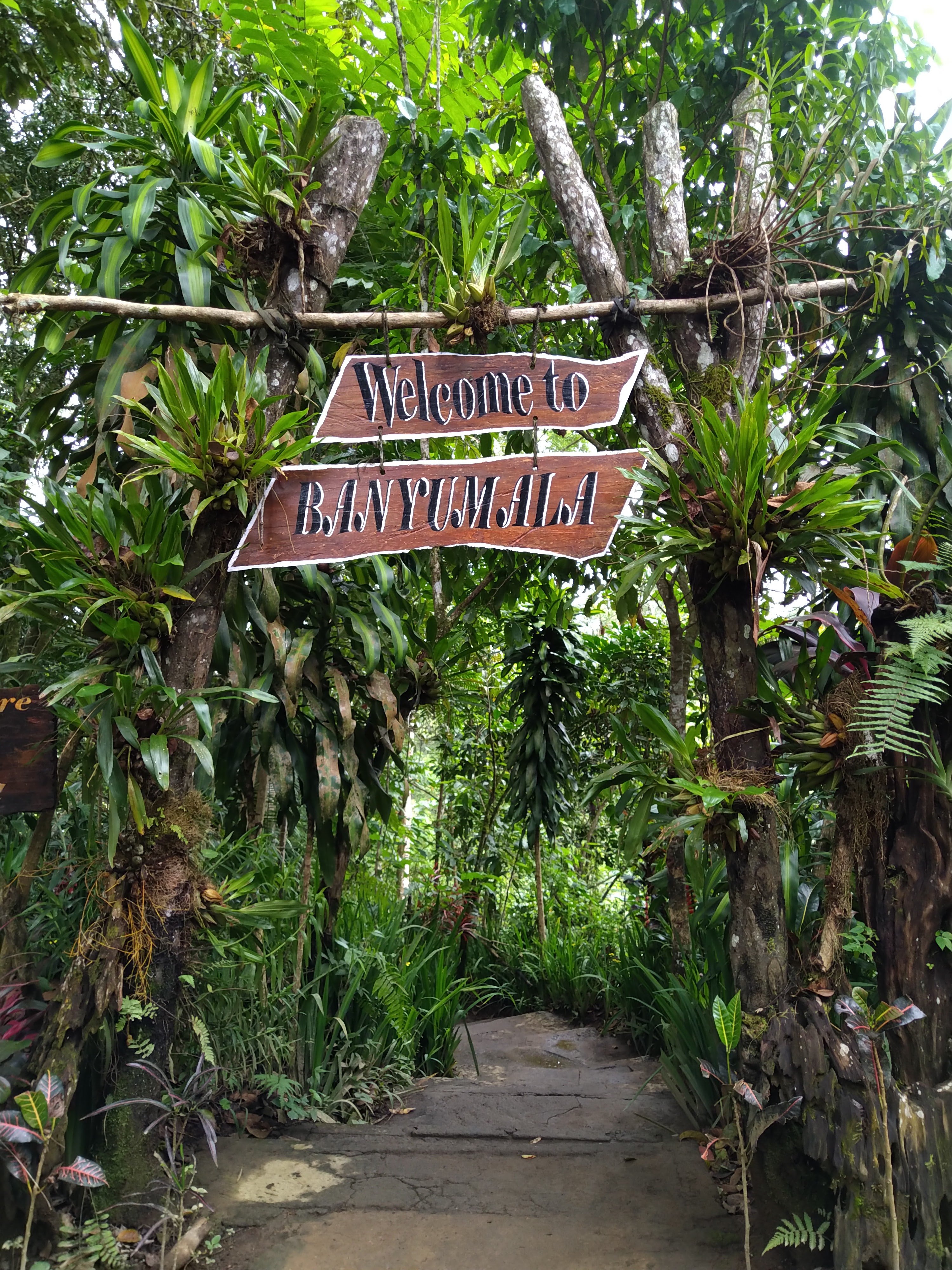 Banyumala Twin Waterfall