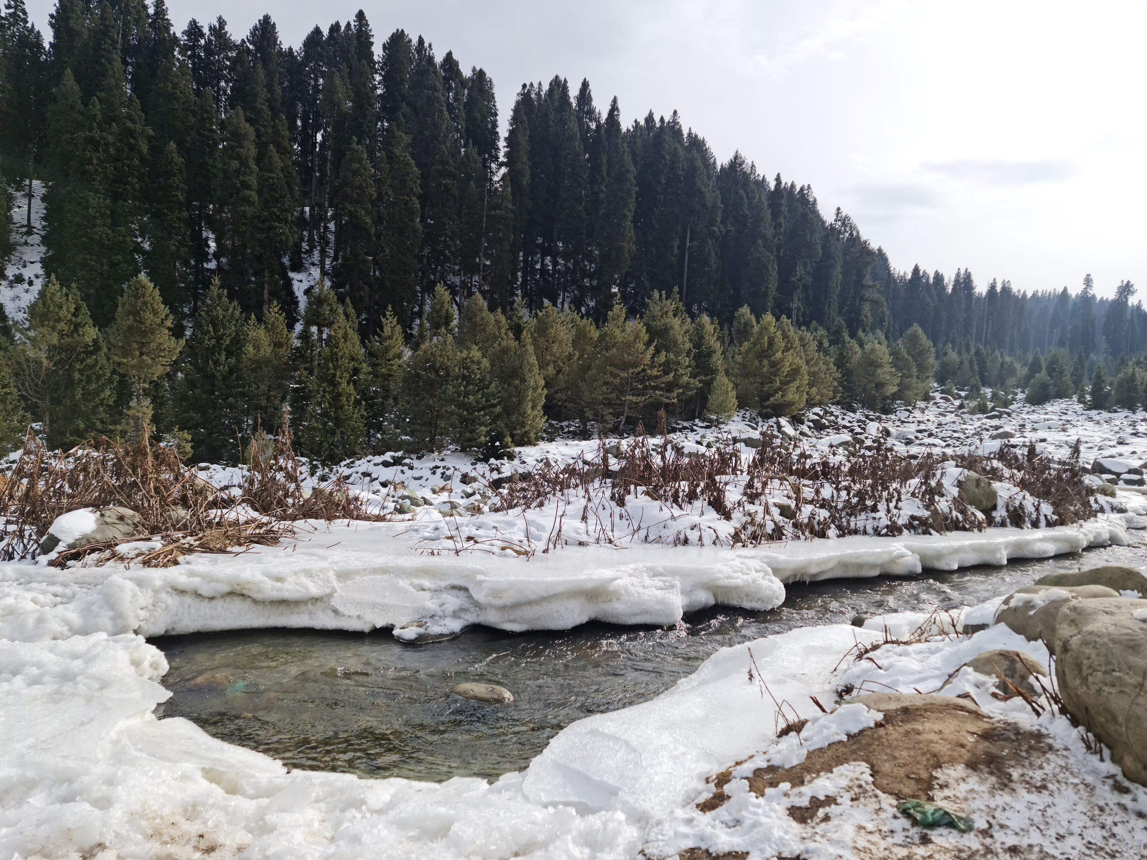 Doodhpathri Meadows