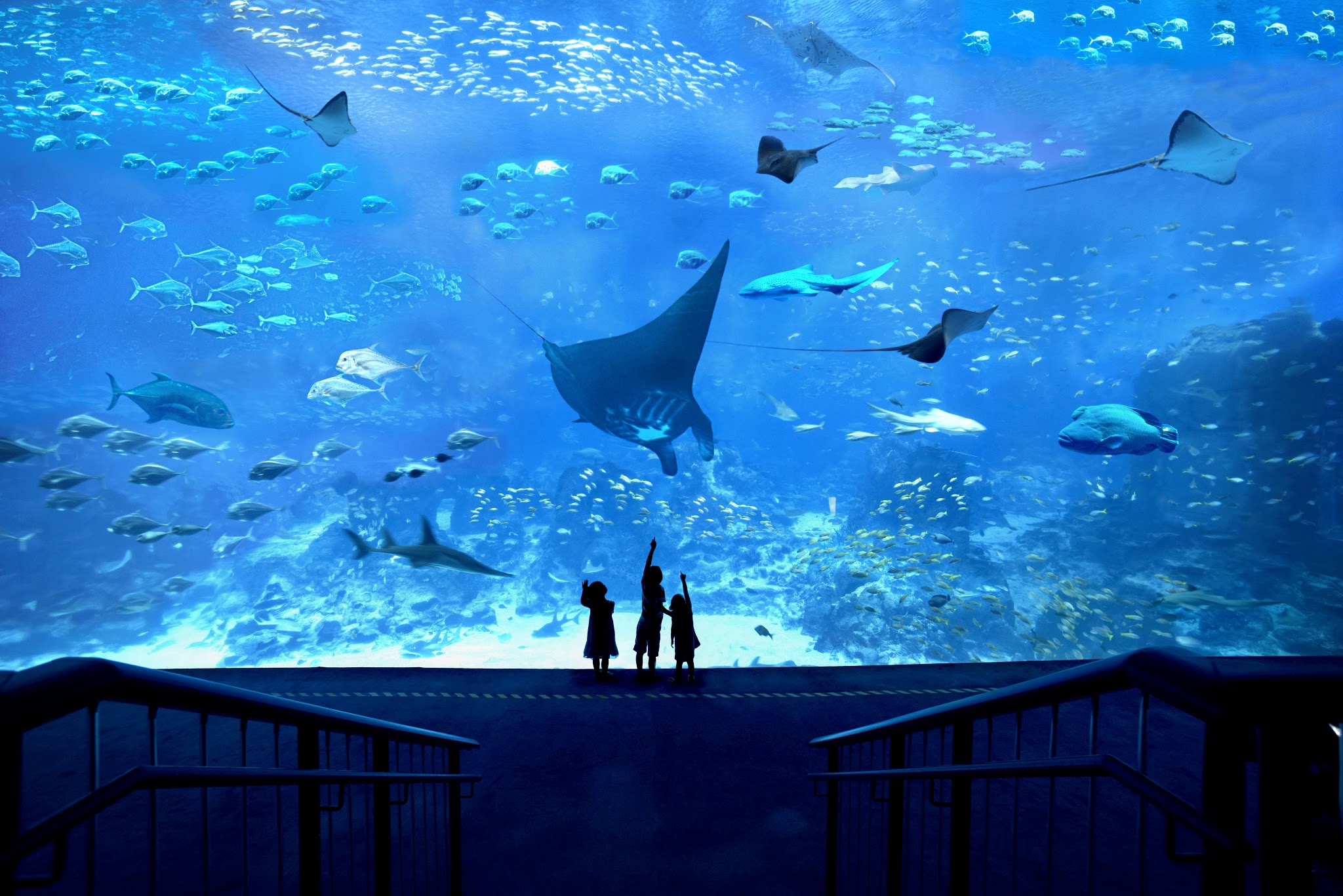 Singapore Oceanarium