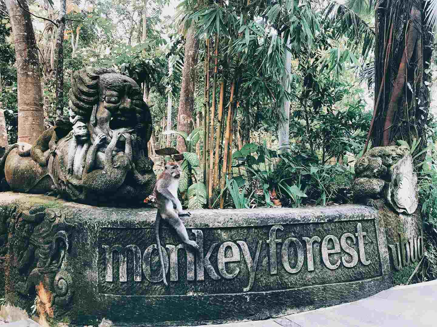 Sacred Monkey Forest Sanctuary (Ubud)