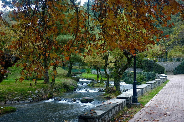 Botanical Garden Kokernag