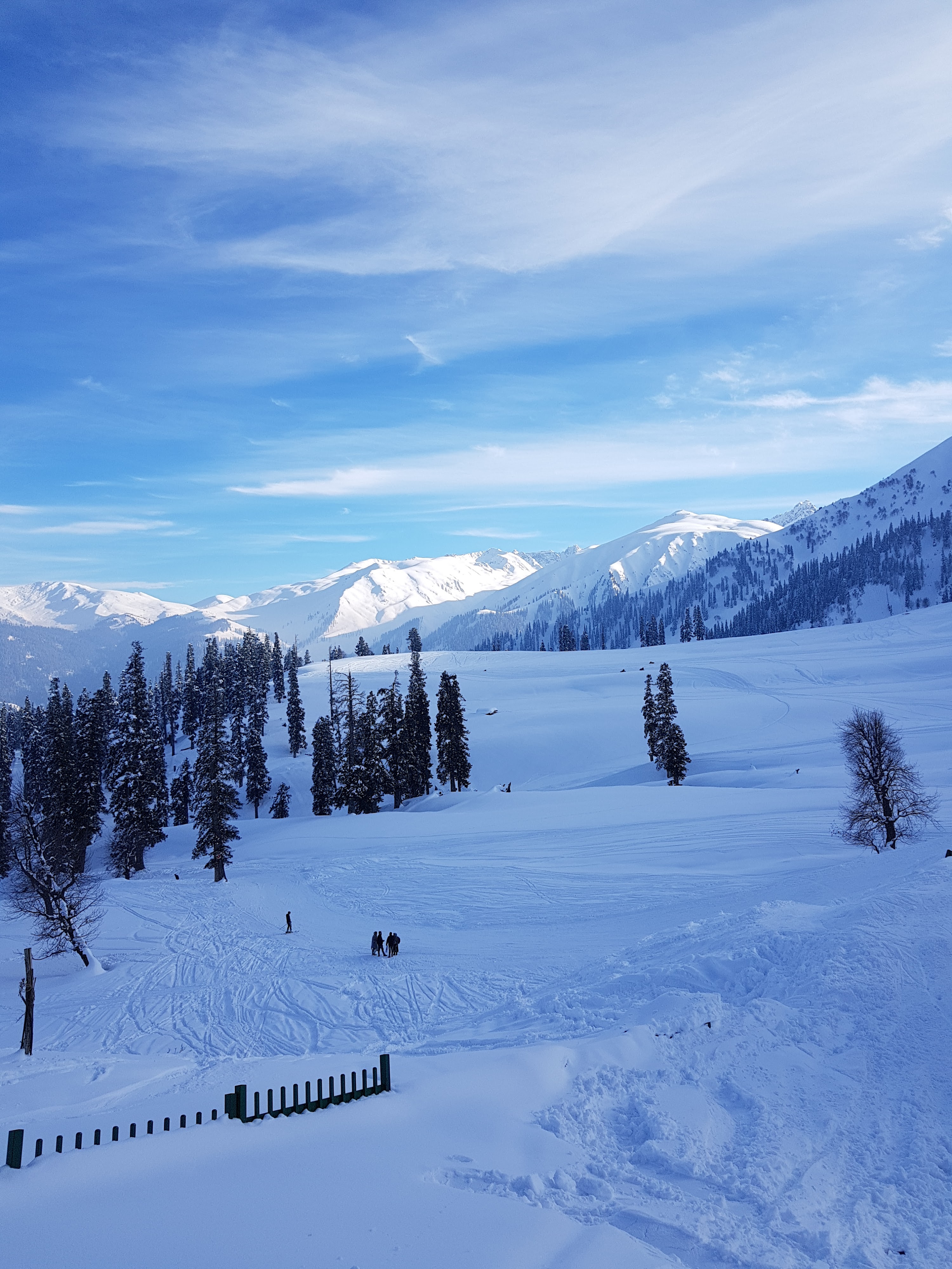 Gandola Phase 1:Gulmarg-Kongdori
