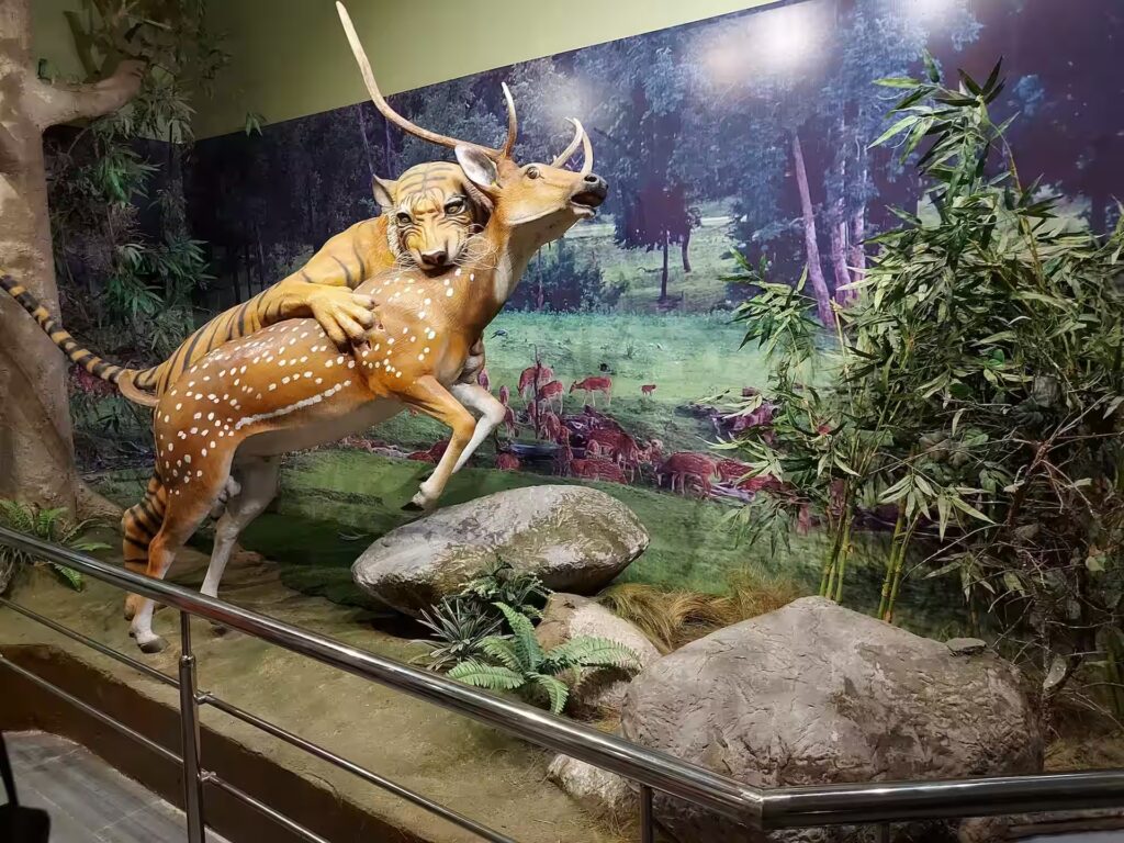 Pench Museum Pench Museum