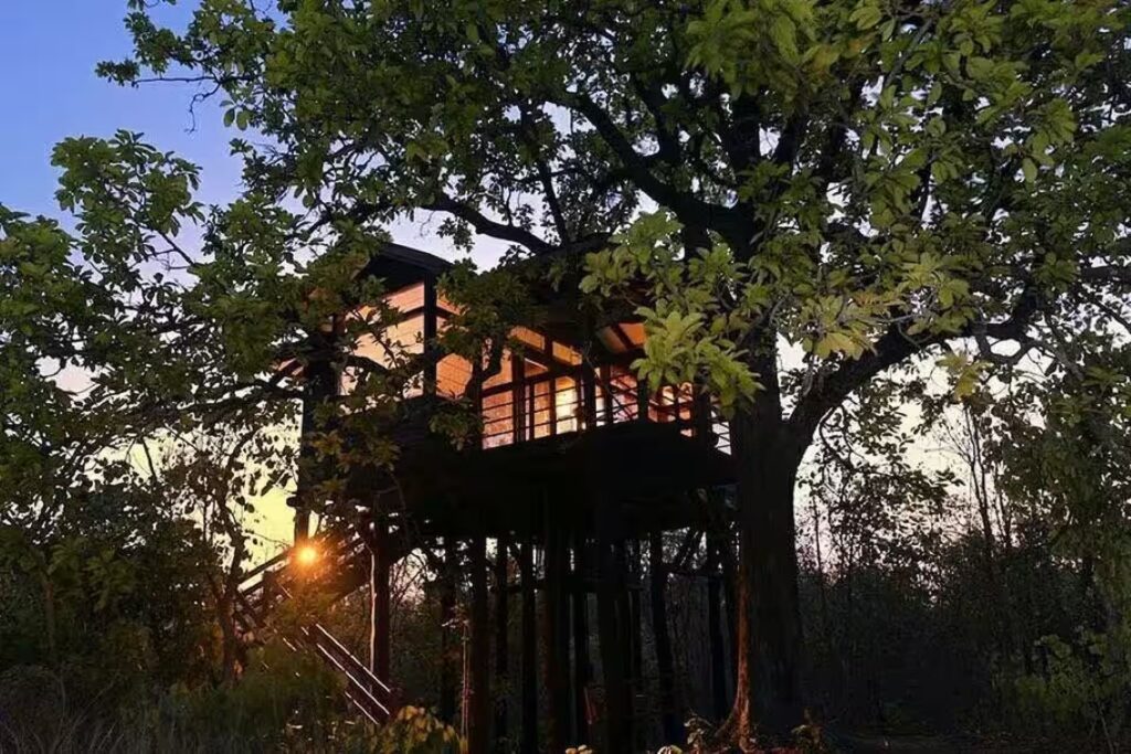 Pench Tree Lodge Pench Tree Lodge