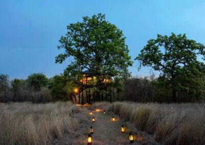 Pench Tree Lodge Pathway