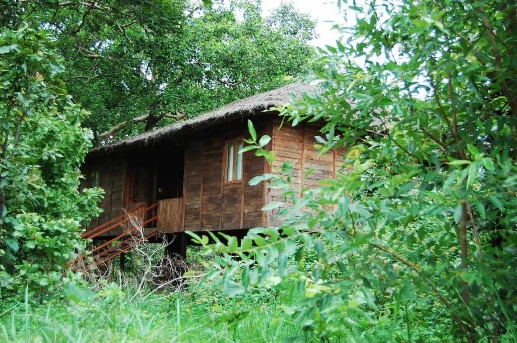 Tiger N Woods Resort Tree House Forest View