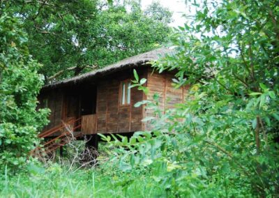 Tiger N Woods Resort Tree House Forest View