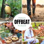 Pench Offbeat Places