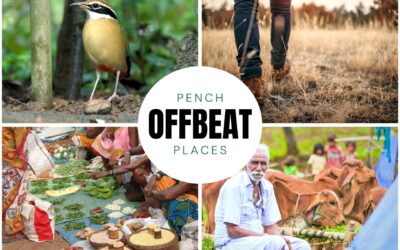 5 Offbeat Things to Do in Pench