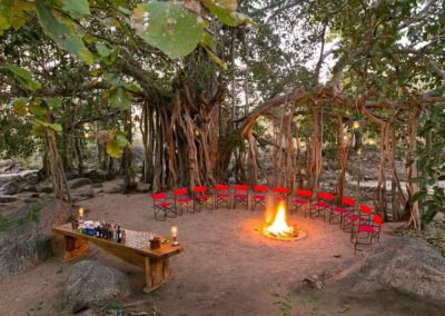 Jamtara Banayan Tree Evening