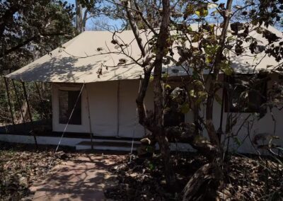 Jamtara Wilderness Camp Tent Entry