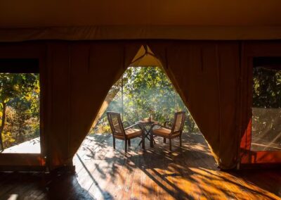 Jamtara Wilderness Camp Tent View