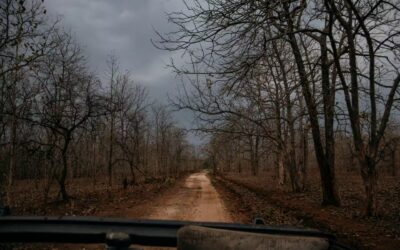 Entry Gates of Pench National Park Explained Simply