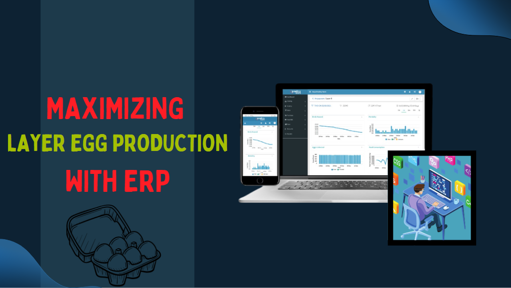 Maximizing Layer Egg Production with ERP Software