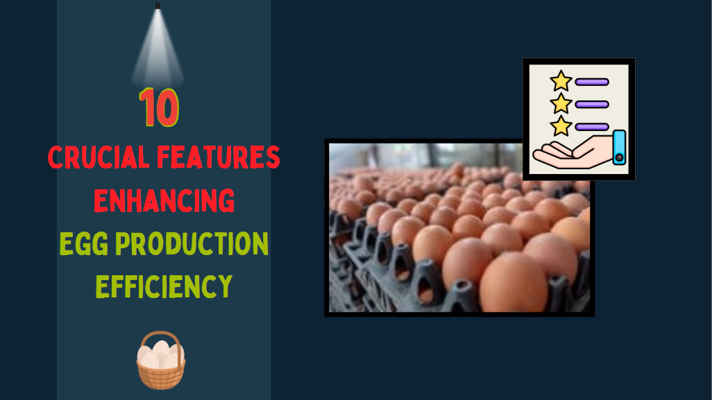 10 Key Features of ERP Software That Boost Egg Production Efficiency