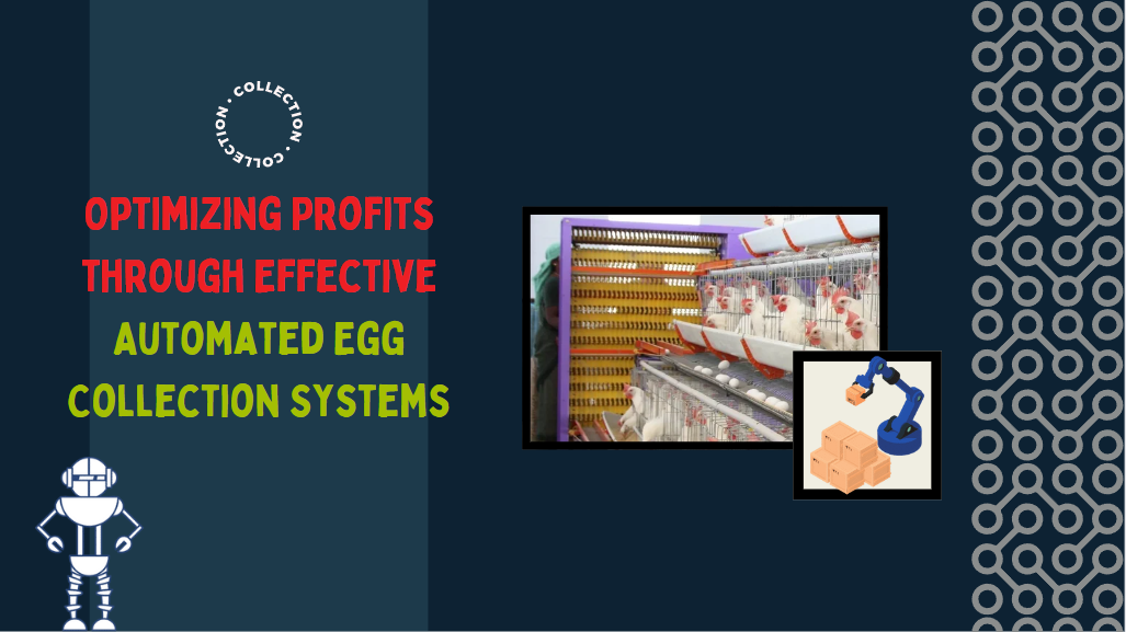 Maximizing Profit with Efficient Automated Egg Collection Systems