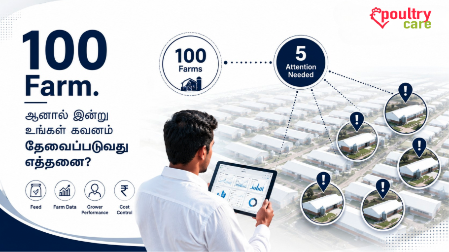 100 பண்ணைகளில் இன்று கவனம் தேவைப்படும் பண்ணைகளை கண்டறிவது எப்படி?
