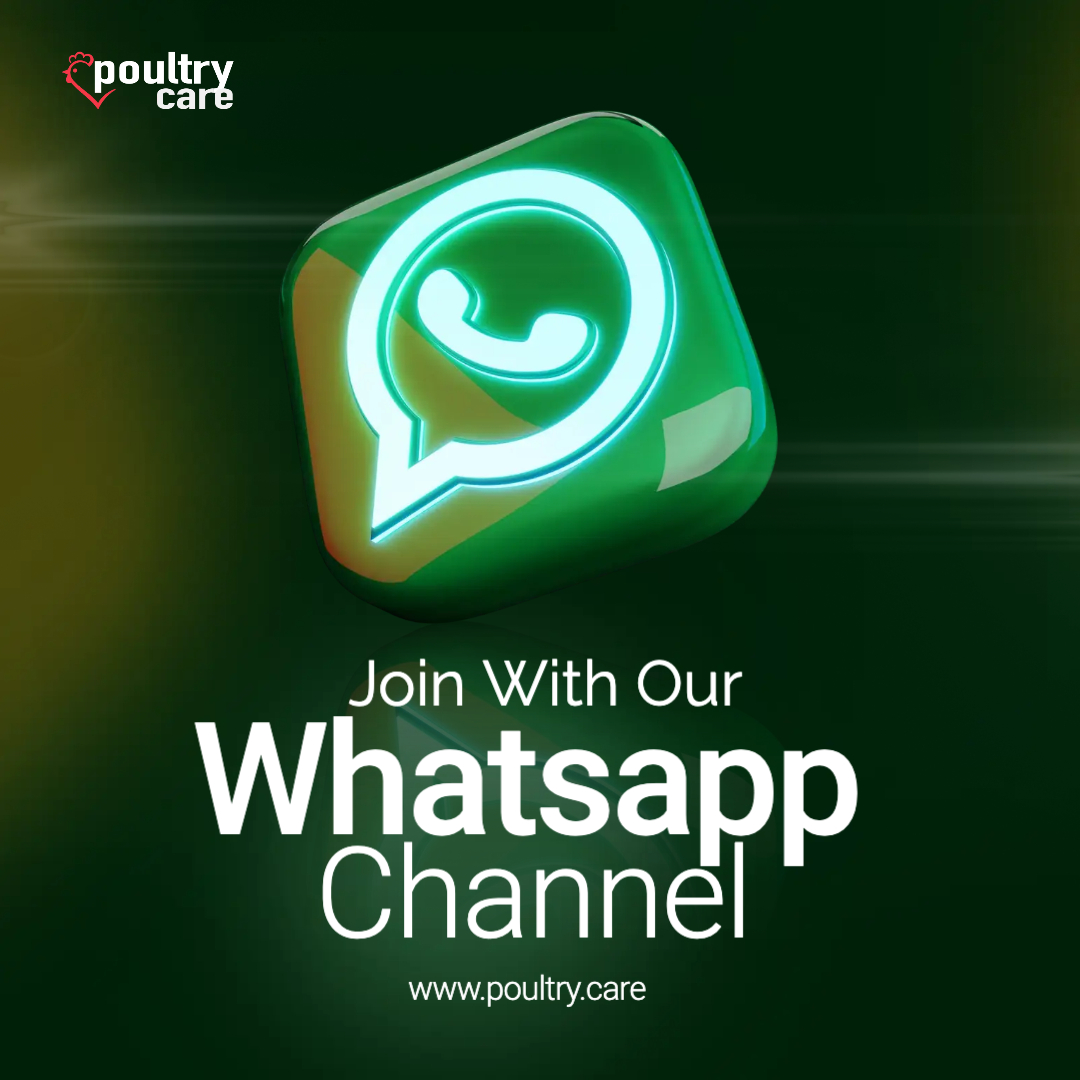 Join with our PoultryCare WhatsApp Channel