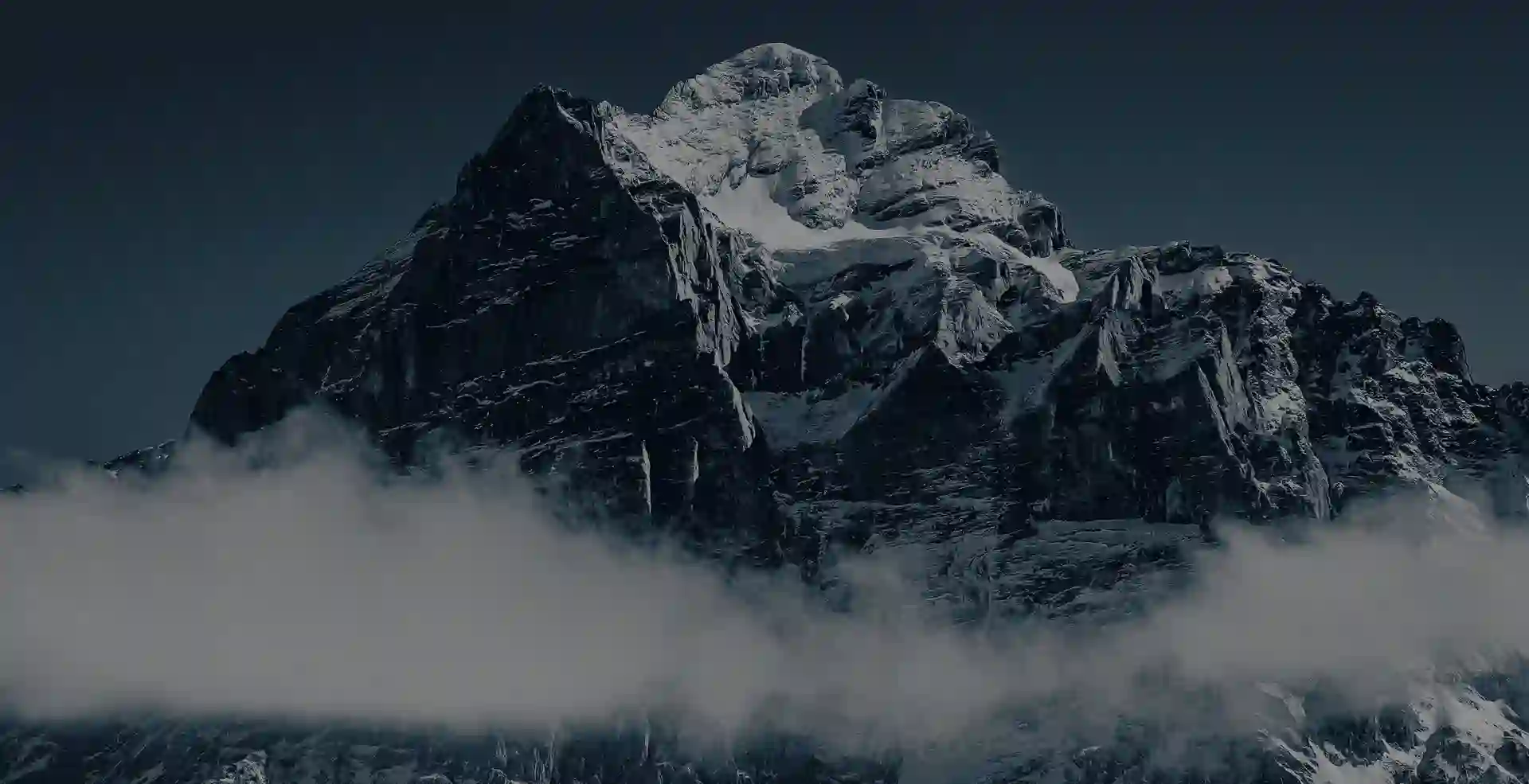 Celebrity collection