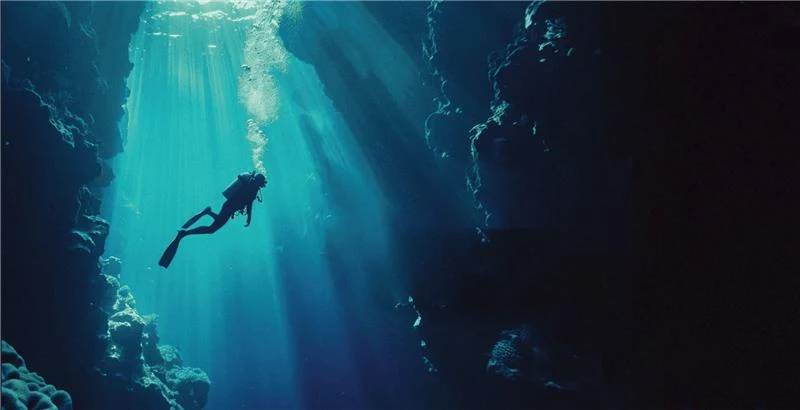 Statement collection