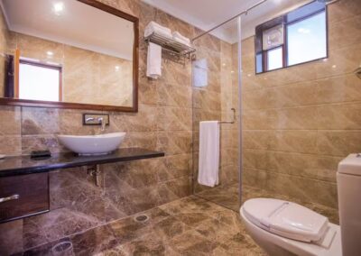 Ranthambore Regency Wash Area